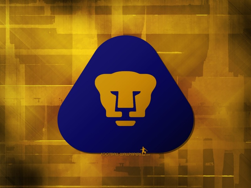 lví znak